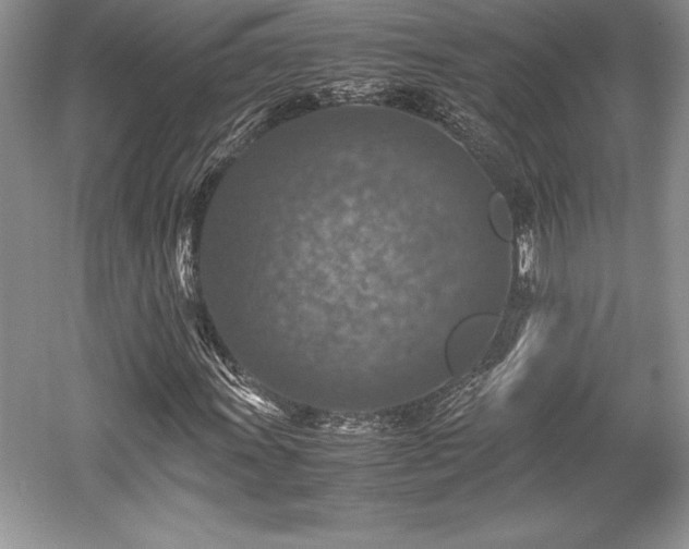 X0000059071011200510101044