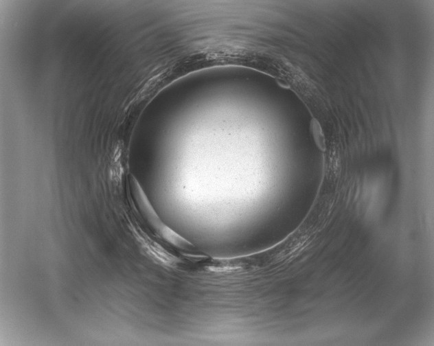 X0000059071012200510101044