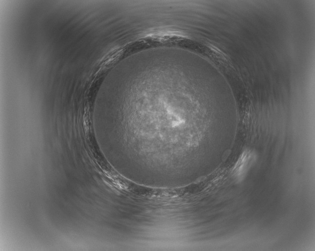X0000059071014200510101045