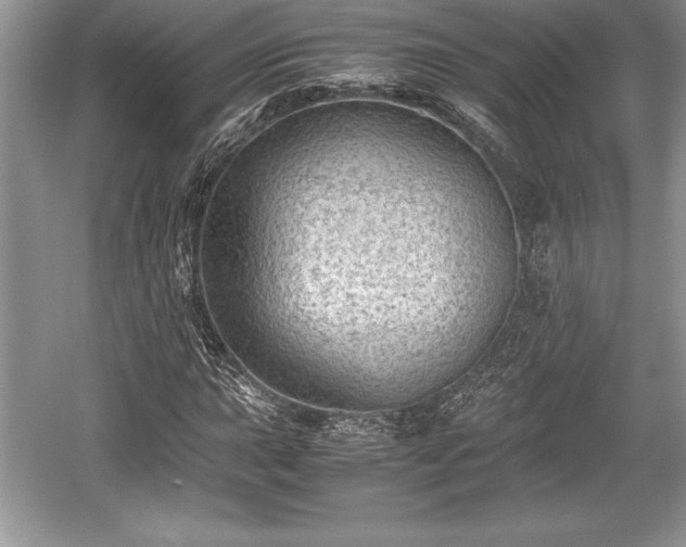 X0000059071015200510101045
