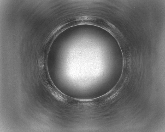 X0000059071017200510101045