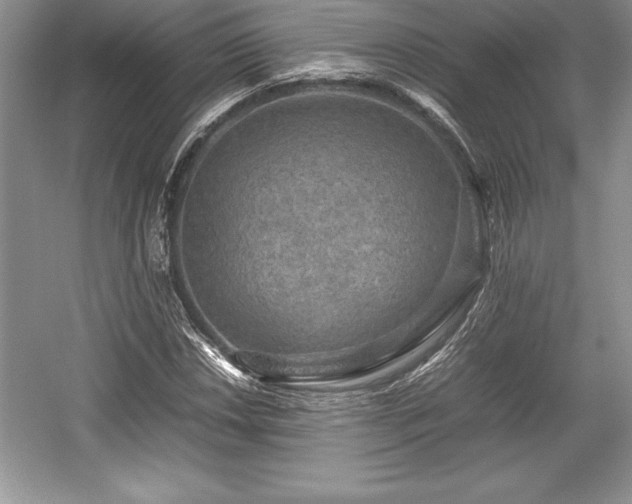 X0000059071018200510101045