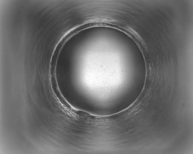 X0000059071020200510101045