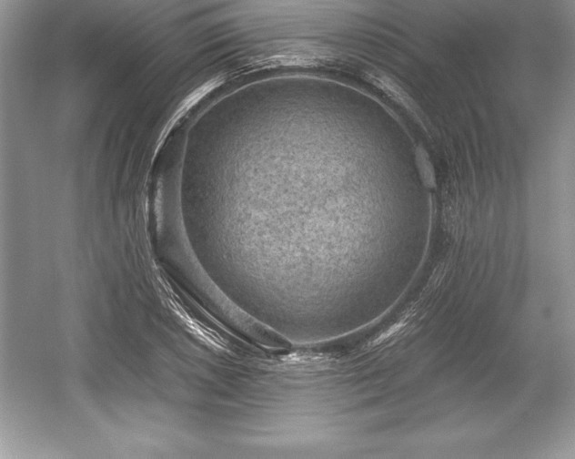 X0000059071026200510101045