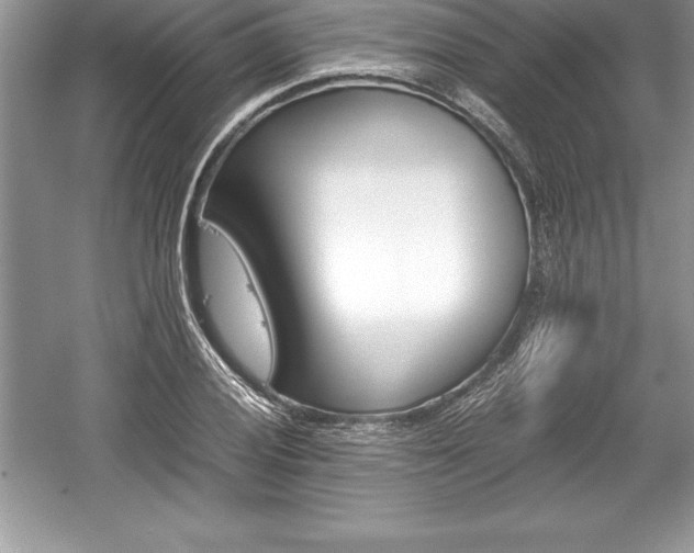 X0000059071028200510101045