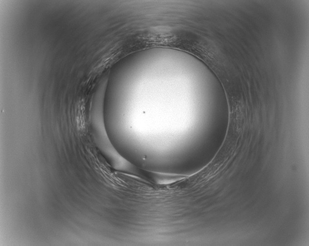 X0000059071058200510101044