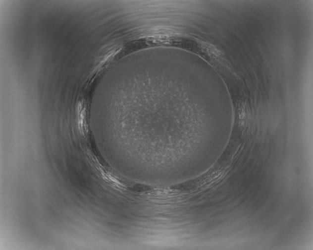 X0000059071060200510101044