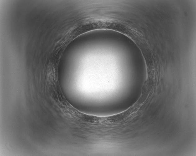 X0000059071061200510101044