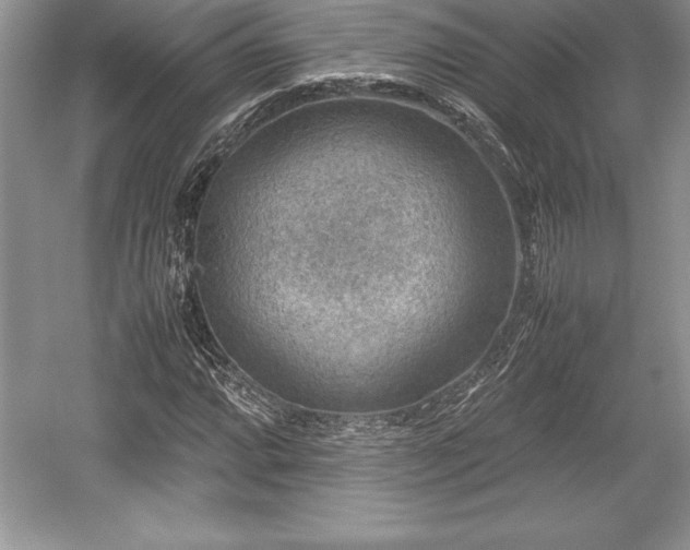 X0000059071064200510101044