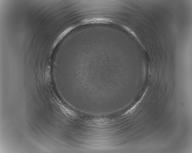X0000059071066200510101044