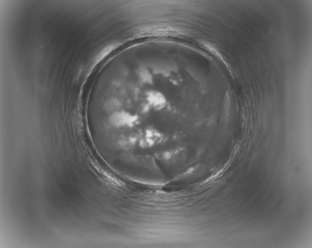 X0000059071071200510101044