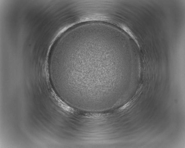 X0000059071072200510101044