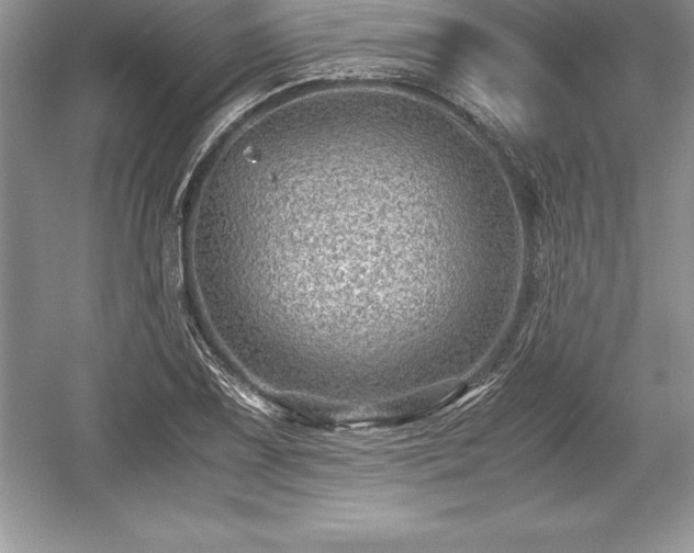 X0000059071075200510101044