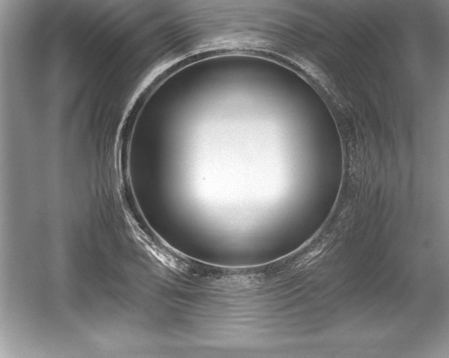 X0000059071078200510101044
