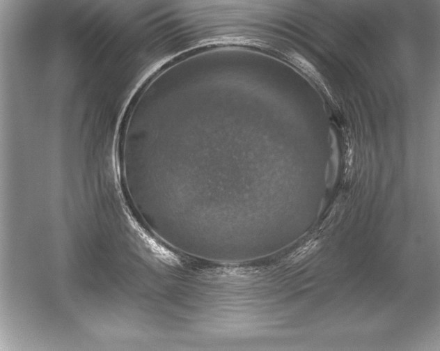 X0000059071084200510101044