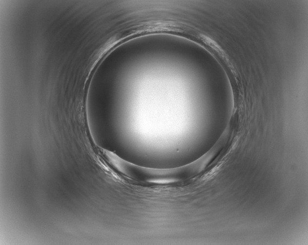 X0000059071089200510101044
