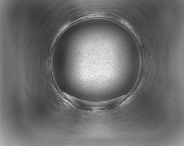 X0000059071097200510101044
