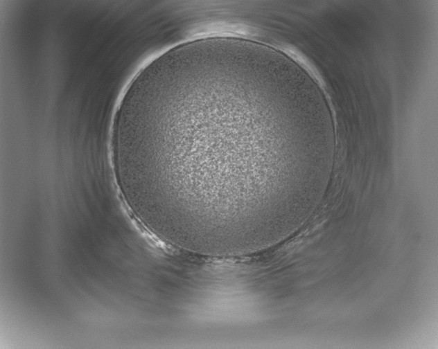 X0000059071104200510101044