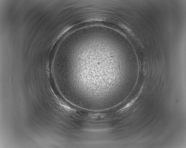 X0000059071113200510101043