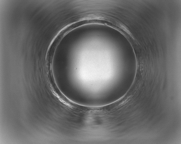 X0000059071116200510101043