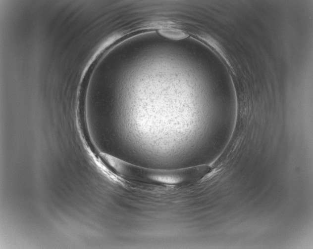 X0000059071139200510101043