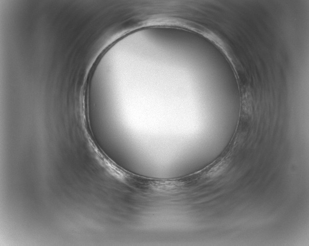 X0000059071150200510101044