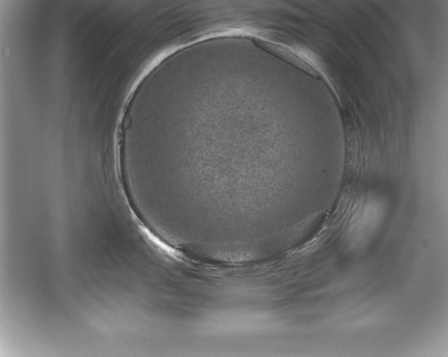 X0000059071151200510101044