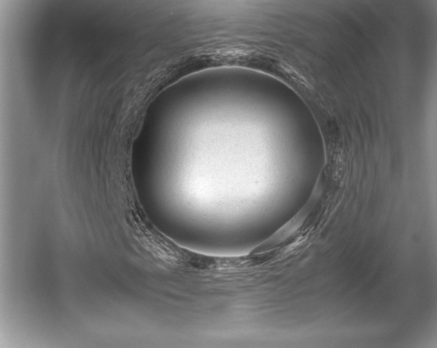 X0000059071153200510101043