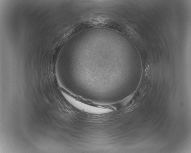 X0000059071156200510101043