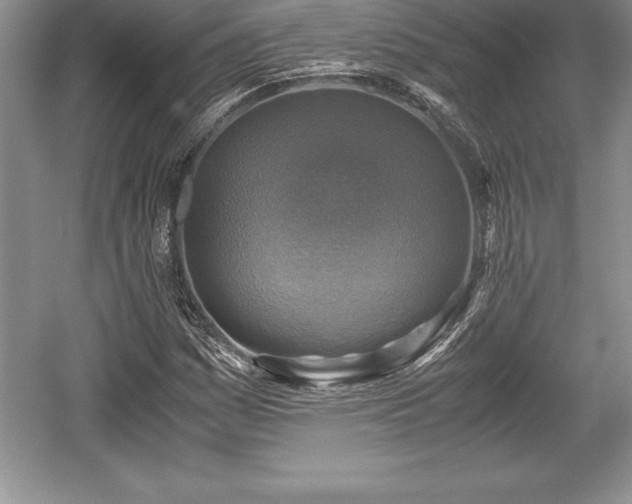X0000059071161200510101043