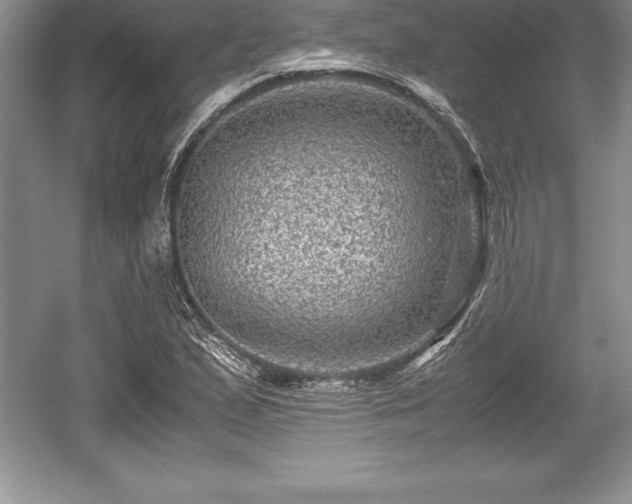X0000059071167200510101043
