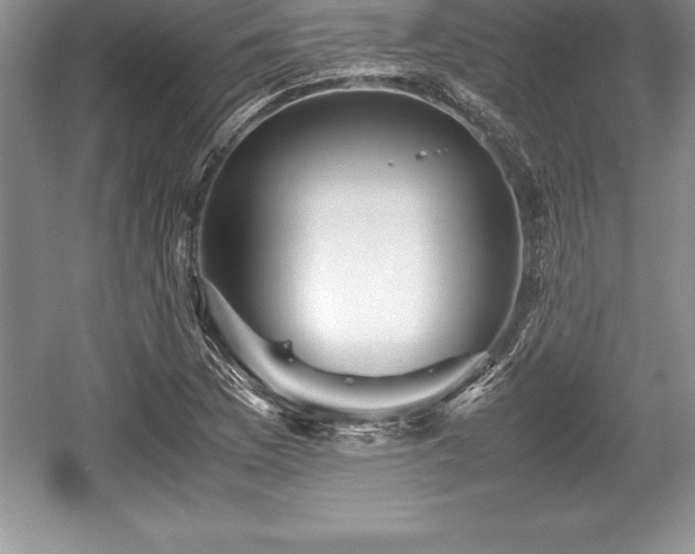 X0000059071169200510101042