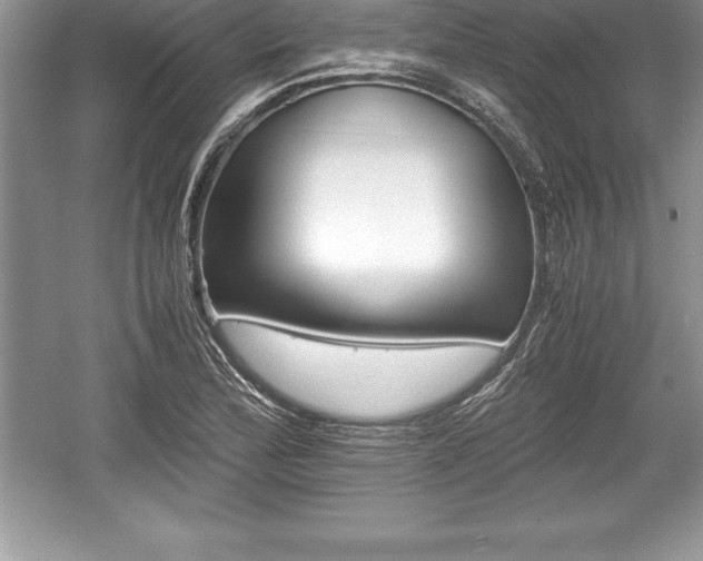 X0000059071172200510101042