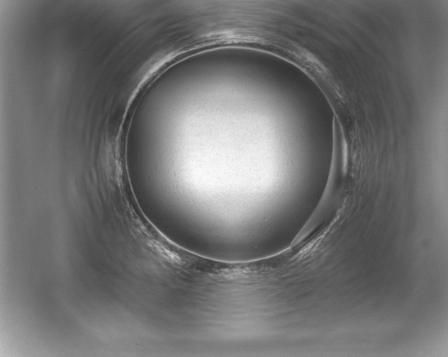 X0000059071182200510101042