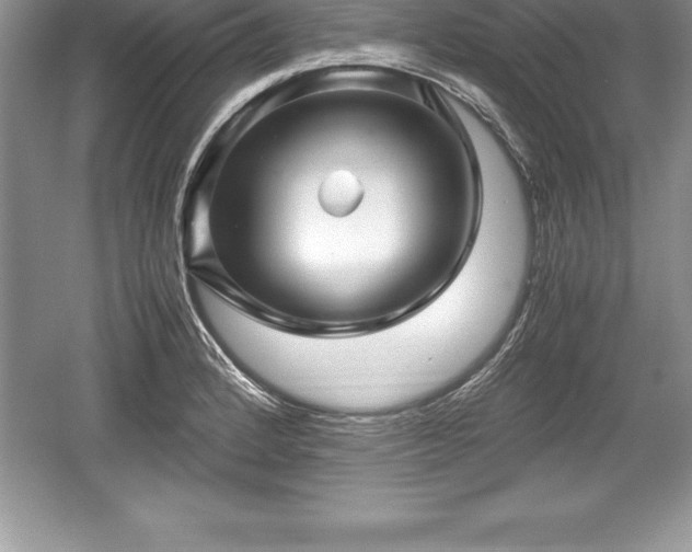 X0000059071184200510101042