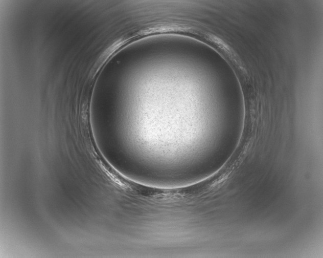 X0000059071185200510101042