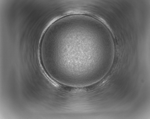 X0000059071187200510101042