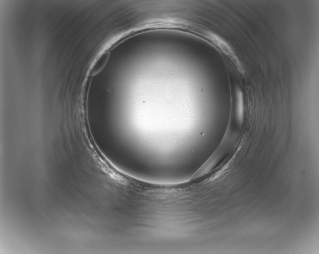 X0000059071192200510101042