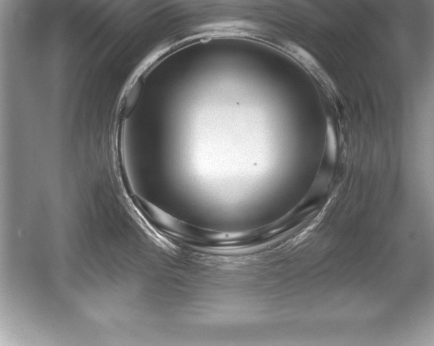 X0000059071196200510101042