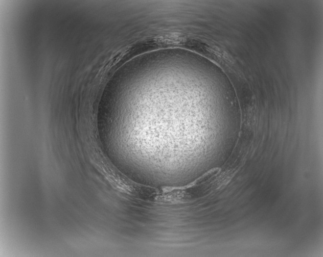 X0000059071201200510101041