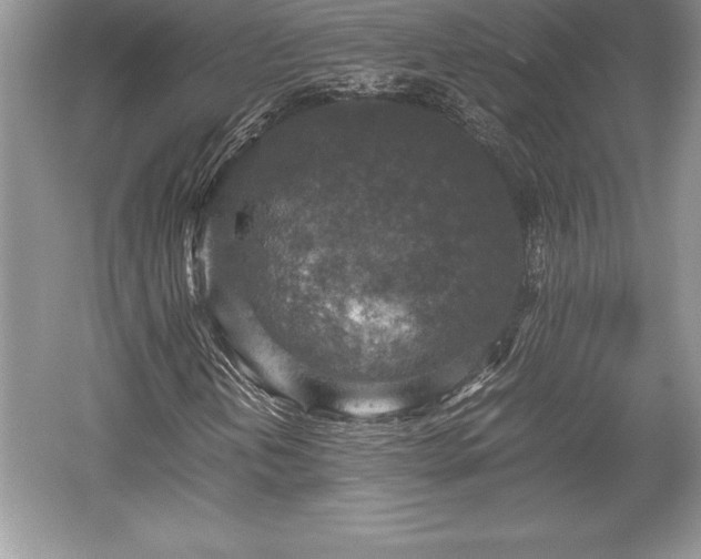 X0000059071202200510101041
