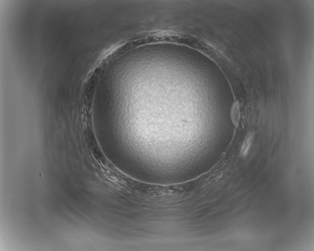 X0000059071207200510101041