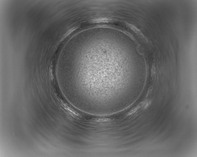 X0000059071209200510101041