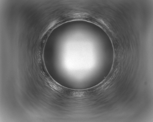X0000059071211200510101041