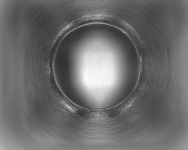 X0000059071218200510101041
