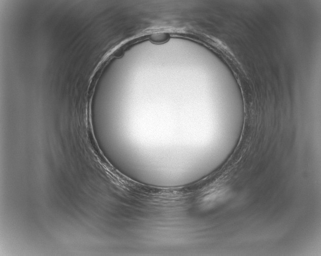 X0000059071220200510101041