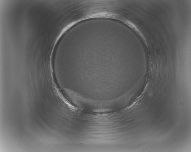 X0000059071230200510101042