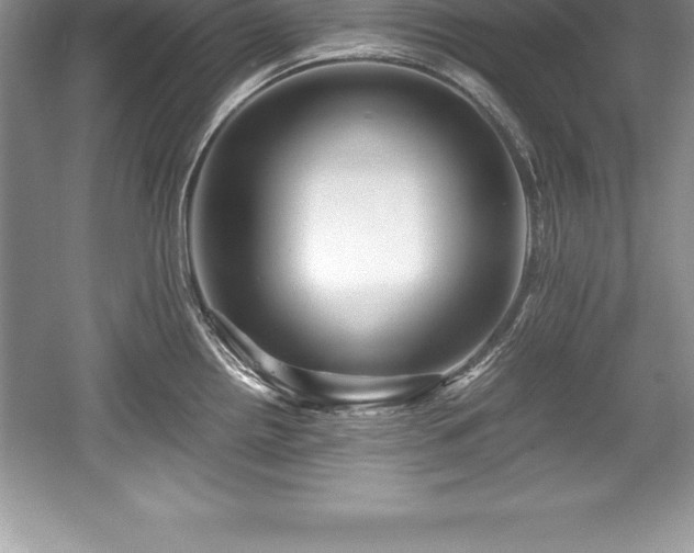 X0000059071242200510101042
