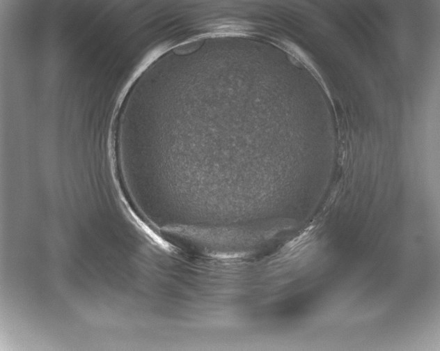 X0000059071243200510101042