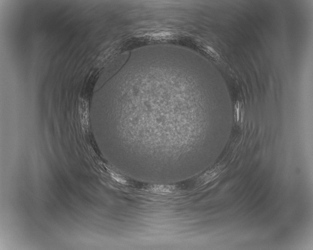 X0000059071251200510101041